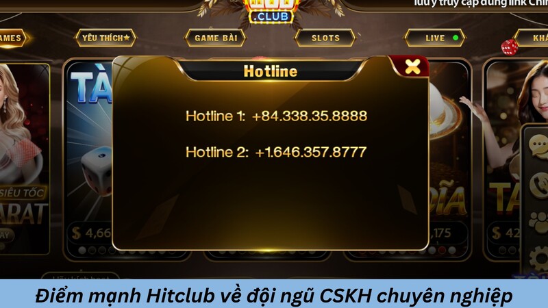 CSKH chuyên nghiệp – Hỗ trợ 24/7